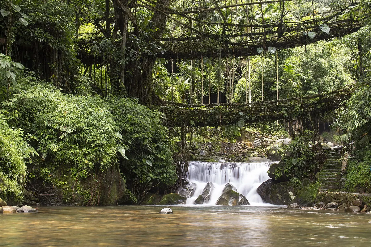 File:The double decker living root bridge.jpg